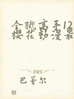 全职高手12季樱花动漫最新更新内容