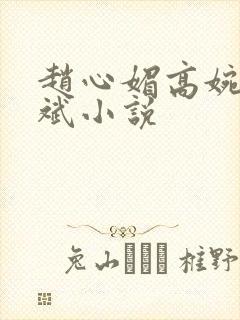 赵心媚高婉君陈斌小说封面