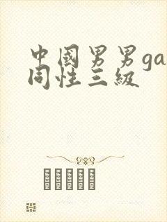 中国男男gay同性三级封面