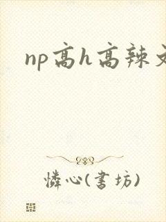 np高h高辣文