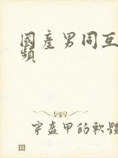 国产男同互操视频