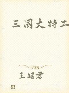 三国大特工
