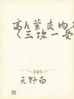 高h荤爽肉欲文〈三攻一受〉视频