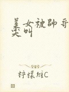 美女被帅哥操到尖叫封面