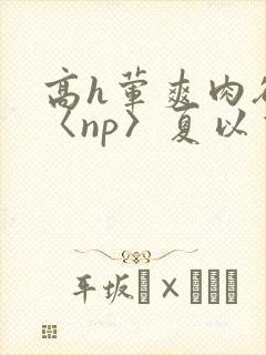 高h荤爽肉欲文〈np〉夏以昼