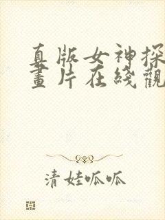 真版女神探侦动画片在线观看