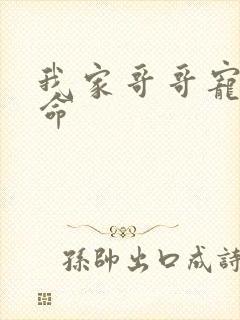 我家哥哥宠妹如命