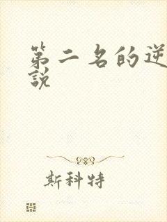 第二名的逆袭小说