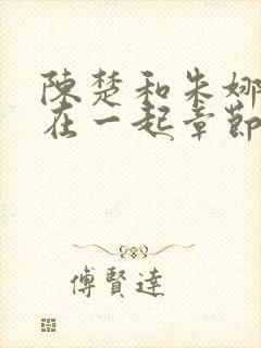 陈楚和朱娜妈妈在一起章节