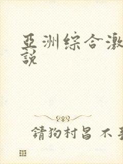 亚洲综合激情小说