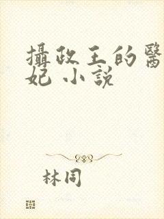 摄政王的医品皇妃 小说