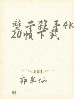 双子杀手4k120帧下载封面