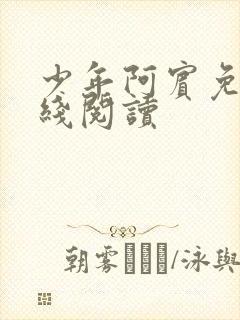 少年阿宾免费在线阅读