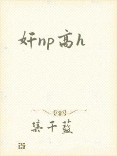 奸np高h