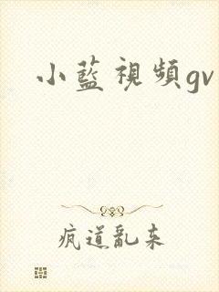小蓝视频gv
