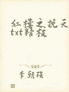 红楼之挽天倾无txt精校封面