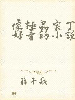 像极品家丁一样好看的小说