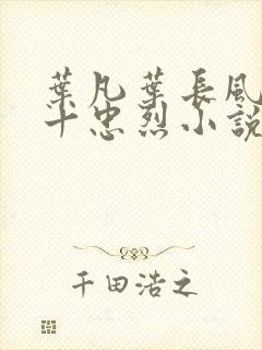 叶凡叶长风一门十忠烈小说封面