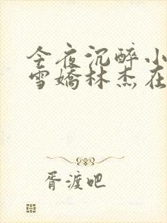 今夜沉醉小说段雪娇林杰在线阅读