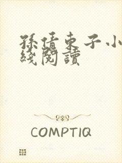 孙倩东子小说在线阅读封面