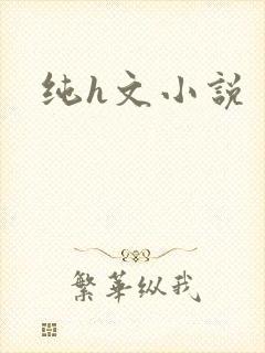 纯h文小说封面