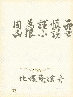 因为谨慎而过分凶狠小说笔趣阁