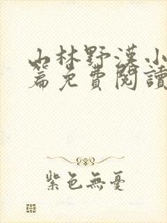 山林野汉小说全篇免费阅读封面