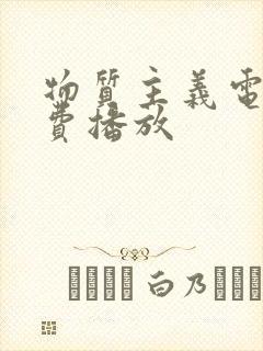 物质主义电影免费播放封面