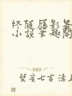 终随雁影各西东小说笔趣阁封面