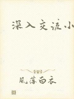 深入交流小说