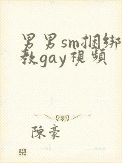 男男sm捆绑调教gay视频封面