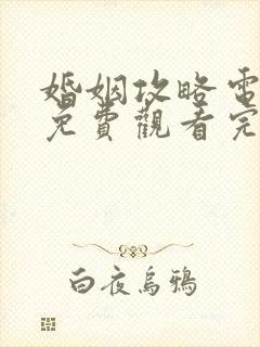 婚姻攻略电视剧免费观看完整版高清