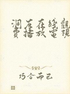 洞友在线观看免费播放电视剧