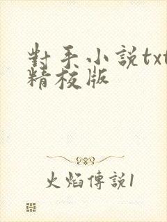 对手小说txt精校版