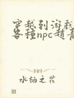 穿越到游戏里和各种npc赵青蔓