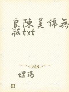 良陈美锦无删减版txt