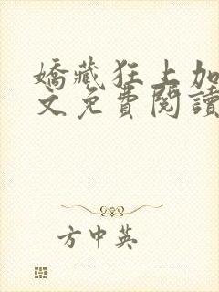 娇藏狂上加狂全文免费阅读笔趣阁封面