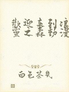 欢迎来到浪荡精灵之森动漫在线观看全