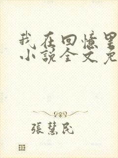 我在回忆里等你小说全文免费阅读