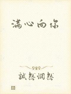 满心向你封面