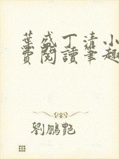 叶盛丁清小说免费阅读笔趣阁