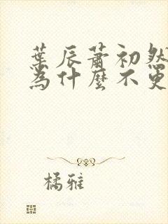 叶辰萧初然小说为什么不更新了