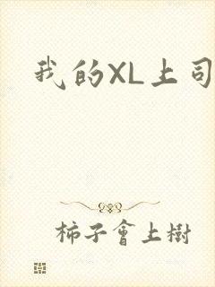 我的XL上司