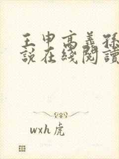 王申高义孙倩小说在线阅读