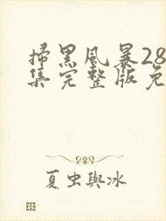 扫黑风暴28全集完整版免费