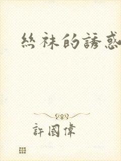 丝袜的诱惑小说