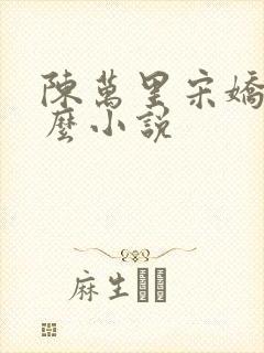 陈万里宋娇娇什么小说封面