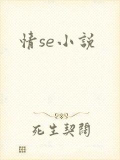 情se小说