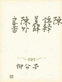良陈美锦陈玄青番外解释