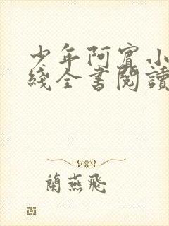 少年阿宾小说在线全书阅读无弹窗免费